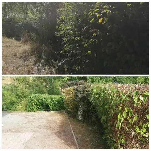 Fournier Multi Services -réalisations (40)webp